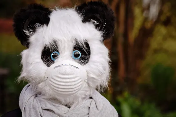 Casino Fairground Slots Podrška